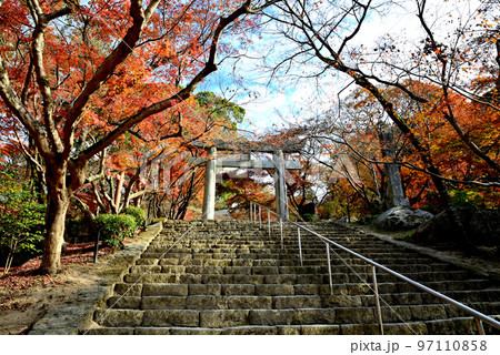 太宰府市のパワースポット竈門神社 97110858
