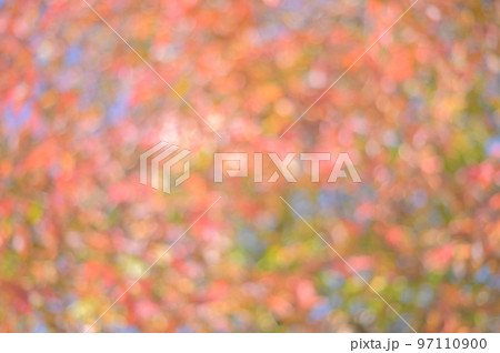 背景素材、紅葉のグラデーション 97110900