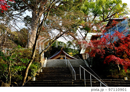 太宰府市のパワースポット竈門神社 太宰府市のパワースポット竈門神社 97110901