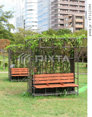 ベンチ 公園 ベンチ 公園 97112394