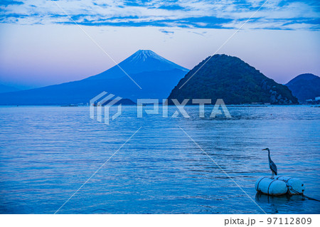 （静岡県）伊豆・内浦湾　海鳥と富士山 97112809