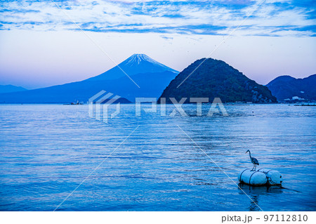 （静岡県）伊豆・内浦湾　海鳥と富士山 97112810