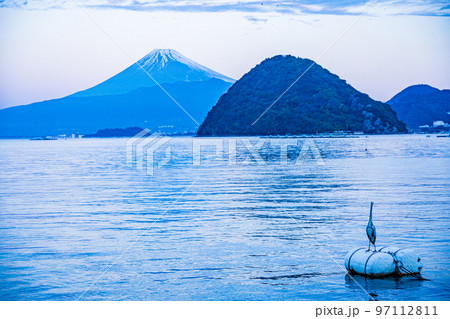 (静岡県)伊豆・内浦湾 海鳥と富士山 (静岡県)伊豆・内浦湾 海鳥と富士山 97112811