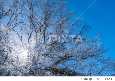 【レア素材】冬の上高地　霧氷【長野県】 97113423