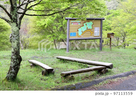 春の新緑が美しい湿原（タカドヤ湿原　愛知県 豊田市 三河） 97113559