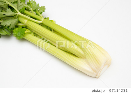 セロリ 97114251