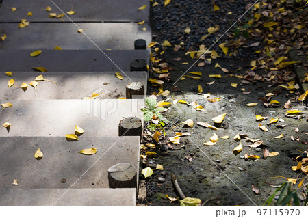 埼玉県さいたま市 調神社 埼玉県さいたま市 調神社 97115970