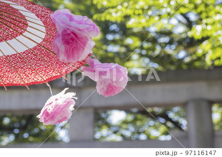 くり祭　傘　花飾り　日本傘　神楽　江戸の里神楽　大國魂神社　栗の露店販売 97116147
