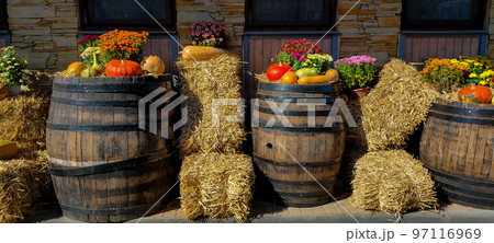 Autumn installations hay flowers and pumpkins 97116969