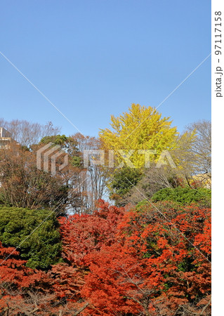 燃える秋 97117158