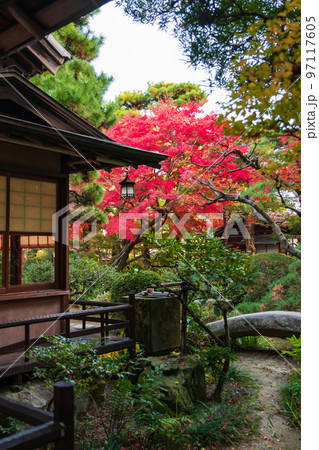 秋の尚古荘〈愛知県西尾市〉 97117605