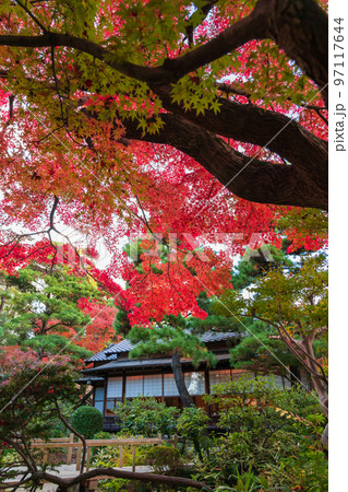 秋の尚古荘〈愛知県西尾市〉 秋の尚古荘〈愛知県西尾市〉 97117644