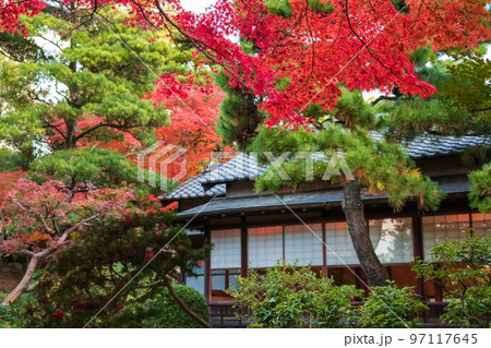 秋の尚古荘〈愛知県西尾市〉 秋の尚古荘〈愛知県西尾市〉 97117645