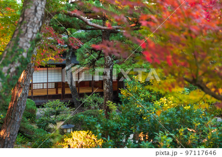 秋の尚古荘〈愛知県西尾市〉 秋の尚古荘〈愛知県西尾市〉 97117646