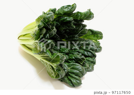 タアサイ 97117650