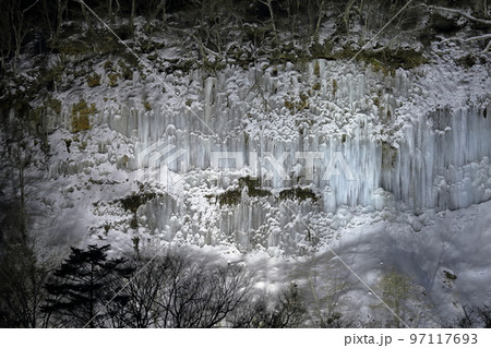ライトアップされた神秘的で美しい氷のカーテン（白川氷柱群　長野県 木曽町） 97117693