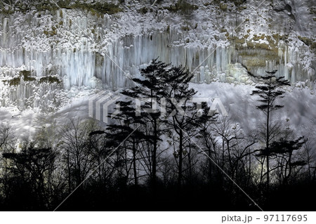 ライトアップされた神秘的で美しい氷のカーテン（白川氷柱群　長野県 木曽町） 97117695