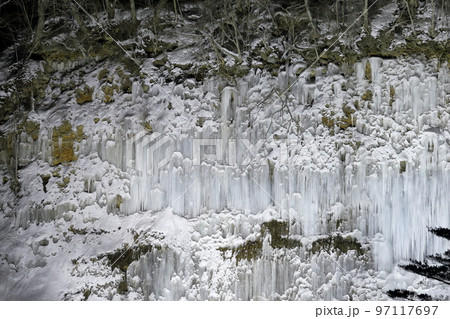 ライトアップされた神秘的で美しい氷のカーテン（白川氷柱群　長野県 木曽町） 97117697