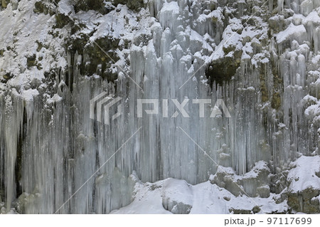 ライトアップされた神秘的で美しい氷のカーテン（白川氷柱群　長野県 木曽町） 97117699
