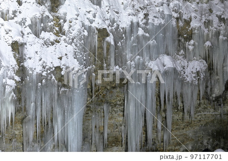 ライトアップされた神秘的で美しい氷のカーテン（白川氷柱群　長野県 木曽町） 97117701