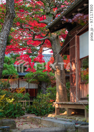秋の尚古荘〈愛知県西尾市〉 97117800