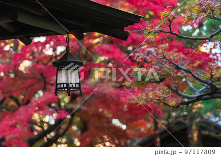 秋の尚古荘〈愛知県西尾市〉 97117809