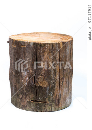 log stump isolated on a white background log stump isolated on a white background 97117914