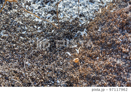 Metal chips background Metal chips background 97117962