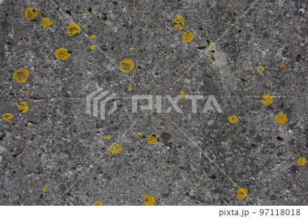 Concrete Texture Background Concrete Texture Background 97118018