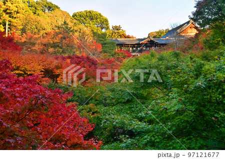 秋に京都市東福寺の臥雲橋から望む通天橋 97121677