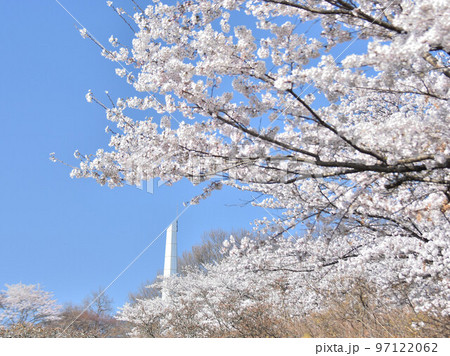 栃木県矢板市 長峰公園 栃木県矢板市 長峰公園 97122062