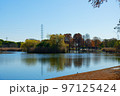 舎人公園の水辺の紅葉と水面に映える景観　ハクセキレイ　野鳥 97125424