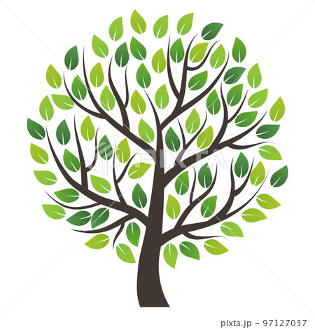 一本木 大木 環境イメージ素材 一本木 大木 環境イメージ素材 97127037