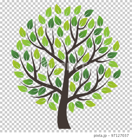 一本木 大木 環境イメージ素材 一本木 大木 環境イメージ素材 97127037