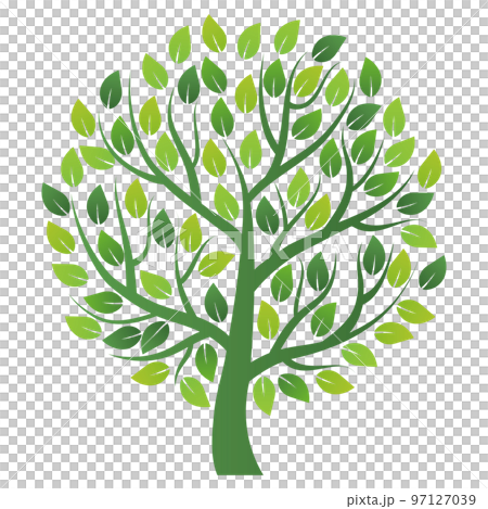 Ippongi Oki 環境圖像素材 97127039