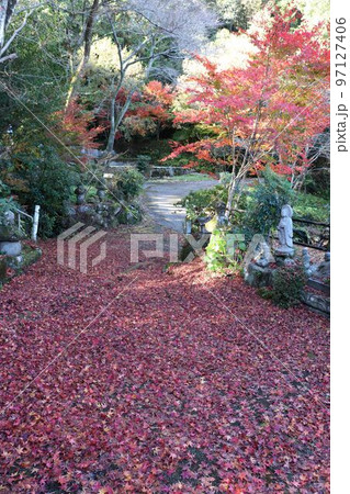 モミジが散る瑠璃光寺の風景 97127406