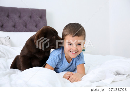 Funny puppy and little boy on bed at home. Friendly dog Funny puppy and little boy on bed at home. Friendly dog 97128708