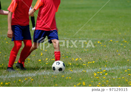 サッカー 97129315