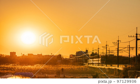 「埼玉県」夕陽を浴びて疾走する武蔵野線車両 97129936