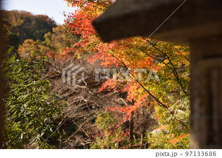 朝護孫子寺のもみじ 朝護孫子寺のもみじ 97133686