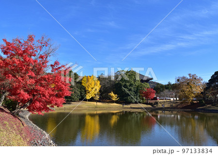 東大寺大仏池と東大寺の紅葉 東大寺大仏池と東大寺の紅葉 97133834