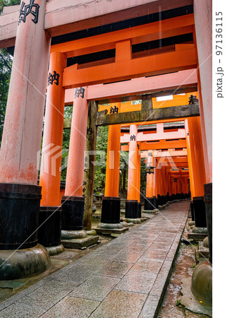 Famous red gates at Fushimi Inari Taisha in Kyoto Japan 97136115