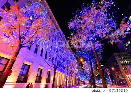 【大阪府】御堂筋イルミネーション 【大阪府】御堂筋イルミネーション 97136210