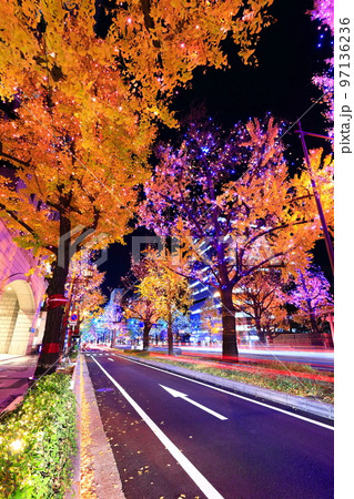 【大阪府】御堂筋イルミネーション 【大阪府】御堂筋イルミネーション 97136236