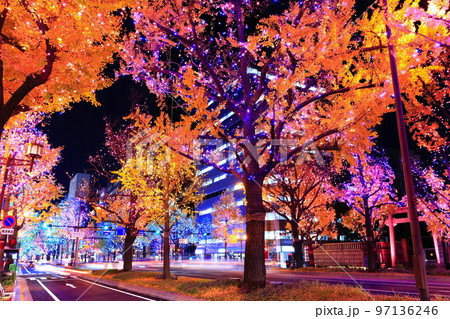 【大阪府】御堂筋イルミネーション 97136246