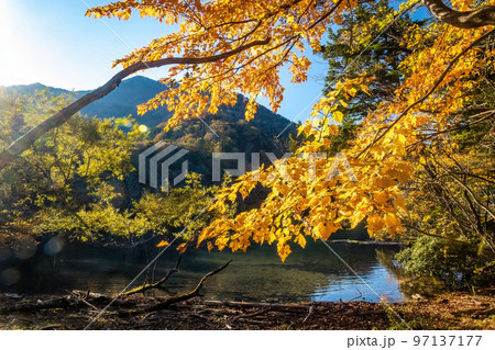 Scenic view of Yunoko lake at fall with colorful trees at sunset 97137177