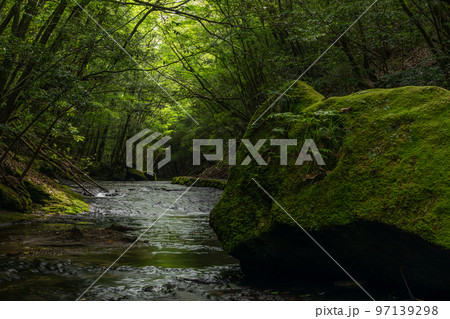 岳切渓谷 97139298