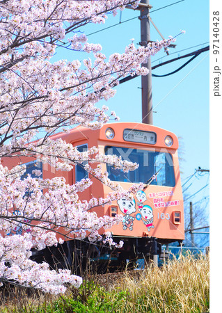 四日市あすなろう鉄道　車両先頭＆桜満開＆青空 97140428