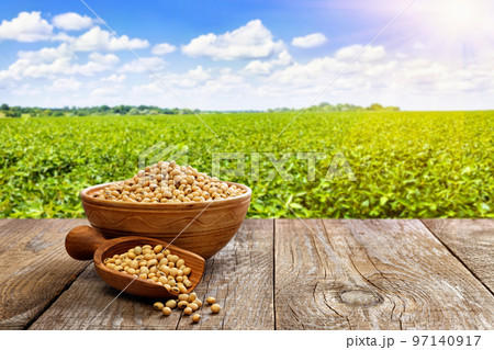 soybeans in ceramic bowl and wooden scoop on table with green field as background soybeans in ceramic bowl and wooden scoop on table with green field as background 97140917