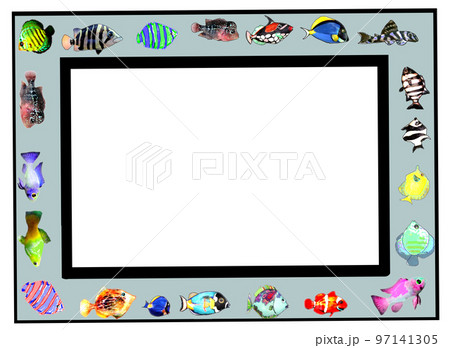 魚のフレーム 魚のフレーム 97141305